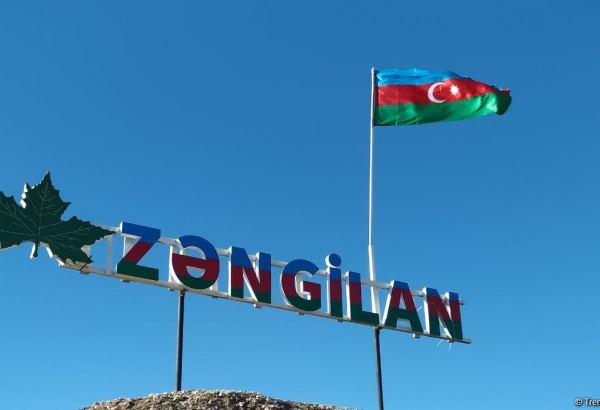 В рамках «Зеленого марафона» в Зангилане прошла очередная акция по посадке деревьев