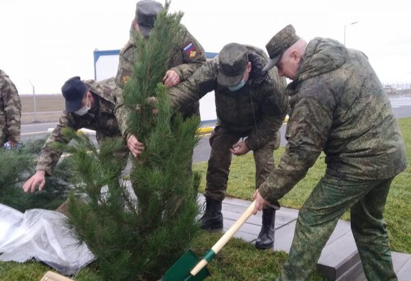 На территории Турецко-российского совместного мониторингового центра посажены деревья (ВИДЕО/ФОТО)
