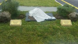 На территории Турецко-российского совместного мониторингового центра посажены деревья (ВИДЕО/ФОТО)