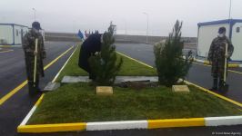 На территории Турецко-российского совместного мониторингового центра посажены деревья (ВИДЕО/ФОТО)