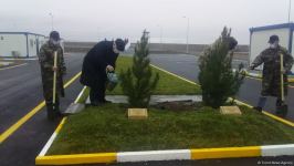 На территории Турецко-российского совместного мониторингового центра посажены деревья (ВИДЕО/ФОТО)