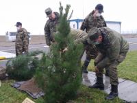 На территории Турецко-российского совместного мониторингового центра посажены деревья (ВИДЕО/ФОТО)