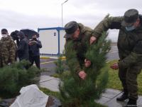 На территории Турецко-российского совместного мониторингового центра посажены деревья (ВИДЕО/ФОТО)
