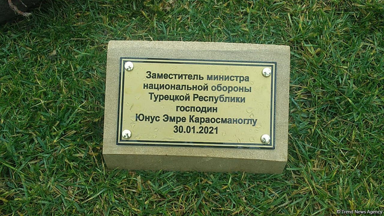 На территории Турецко-российского совместного мониторингового центра посажены деревья (ВИДЕО/ФОТО)