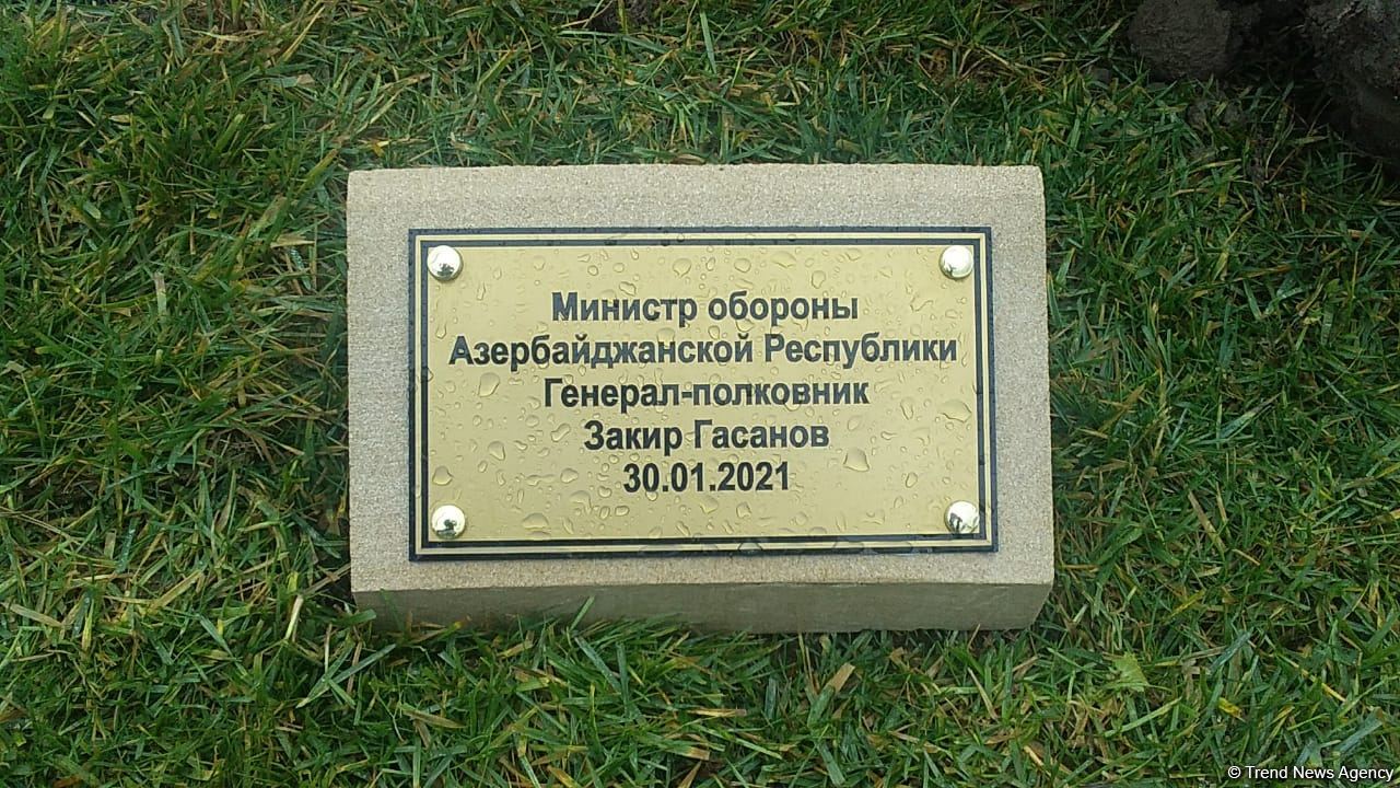 На территории Турецко-российского совместного мониторингового центра посажены деревья (ВИДЕО/ФОТО)