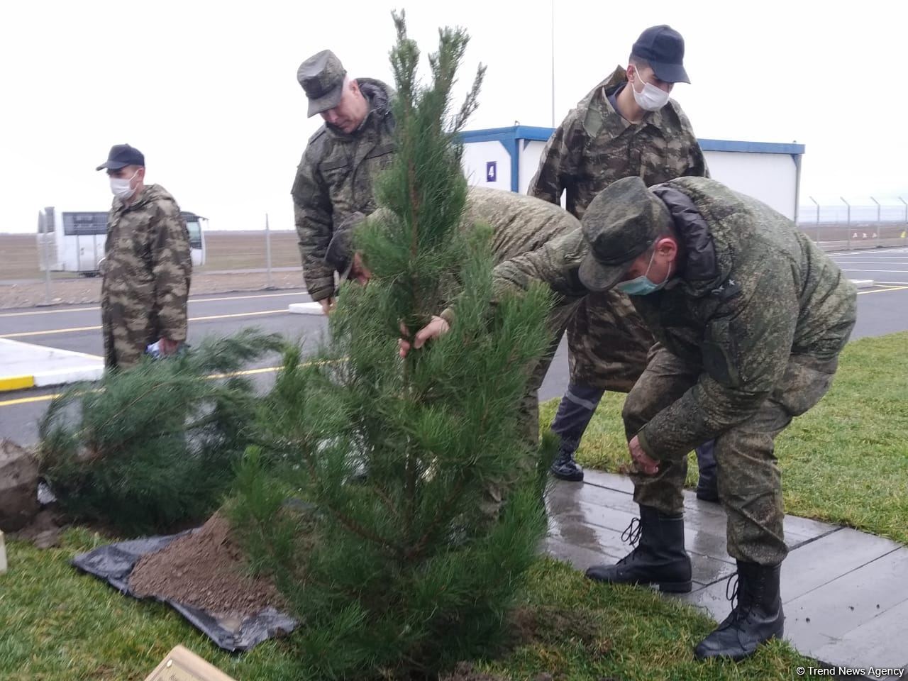 На территории Турецко-российского совместного мониторингового центра посажены деревья (ВИДЕО/ФОТО)