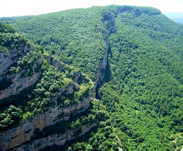 На освобожденных территориях Азербайджана могут быть созданы реабилитационные центры