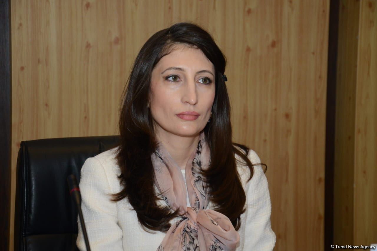 Агентство по обязательному медстрахованию Азербайджана проводит брифинг (ФОТО/ВИДЕО)