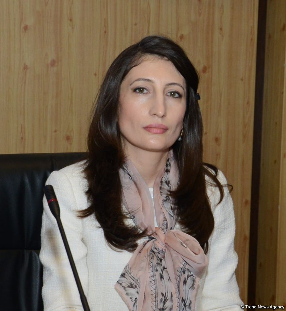 Агентство по обязательному медстрахованию Азербайджана проводит брифинг (ФОТО/ВИДЕО)