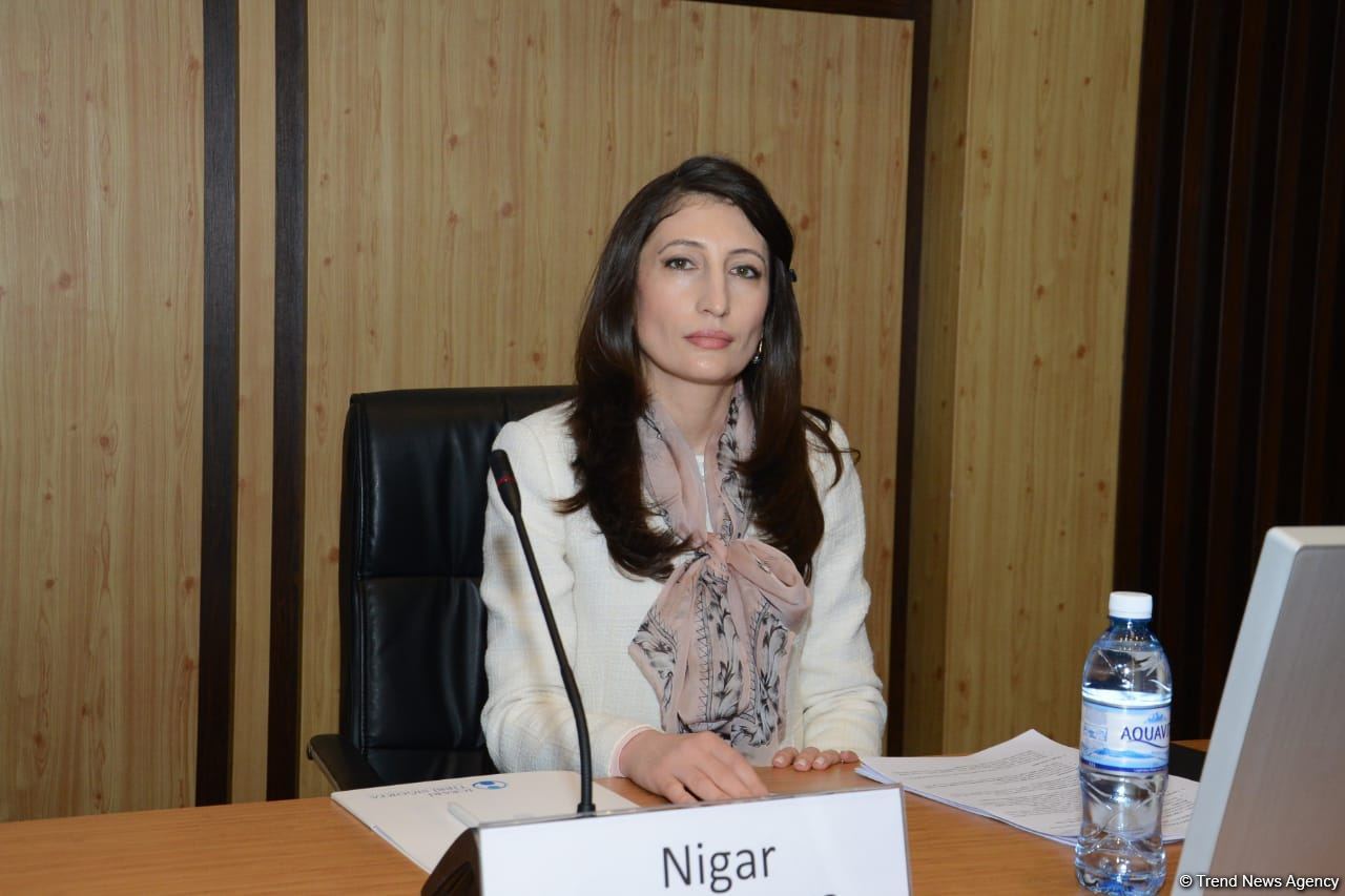 Агентство по обязательному медстрахованию Азербайджана проводит брифинг (ФОТО/ВИДЕО)