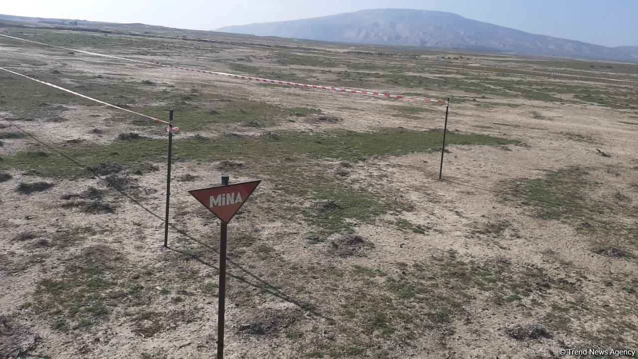 Поставленная из Турции техника по разминированию будет использоваться на освобожденных территориях Азербайджана (ФОТО)