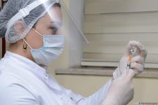 В Азербайджане началась вакцинация от COVİD-19 сотрудников полиции - репортаж Trend TV (ФОТО)