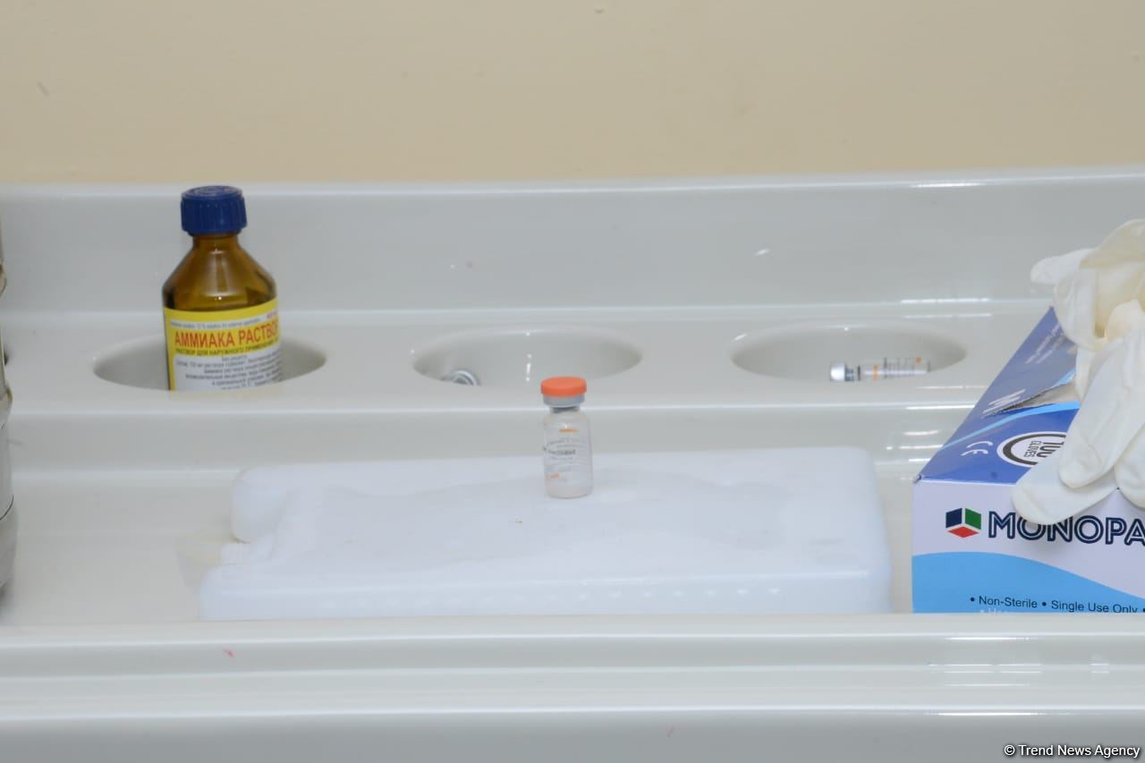 В Азербайджане началась вакцинация от COVİD-19 сотрудников полиции - репортаж Trend TV (ФОТО)