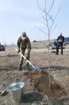 Президент Ильхам Алиев и Первая леди Мехрибан Алиева посетили Физулинский, Зангиланский, Лачинский и Джебраильский районы (ФОТО/ВИДЕО) (ОБНОВЛЕНО)