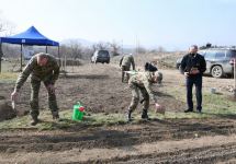 Президент Ильхам Алиев и Первая леди Мехрибан Алиева посетили Физулинский, Зангиланский, Лачинский и Джебраильский районы (ФОТО/ВИДЕО) (ОБНОВЛЕНО)