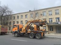 На одной из улиц  Баку пересаживаются деревья (ФОТО)