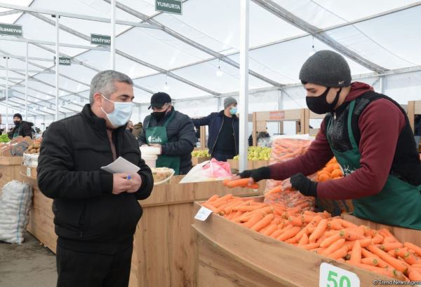 В Баку и на Абшероне открылись сельскохозяйственные ярмарки