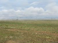 В Джабраиле начался сев зерновых - Trend TV