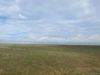 В Джабраиле начался сев зерновых - Trend TV