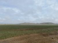 В Джабраиле начался сев зерновых - Trend TV