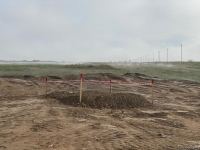 В Джабраиле начался сев зерновых - Trend TV