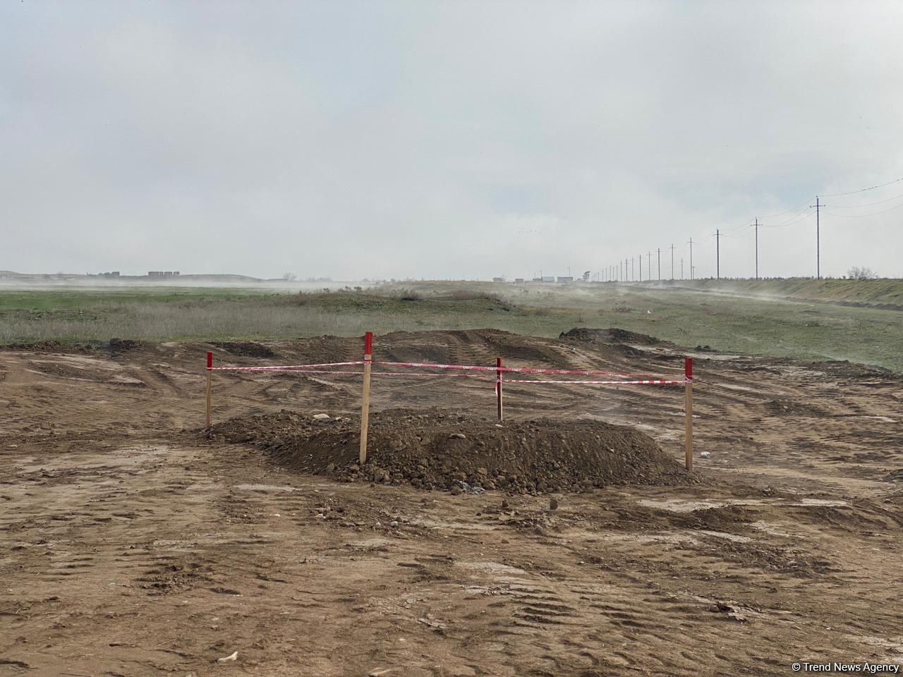 В Джабраиле начался сев зерновых - Trend TV