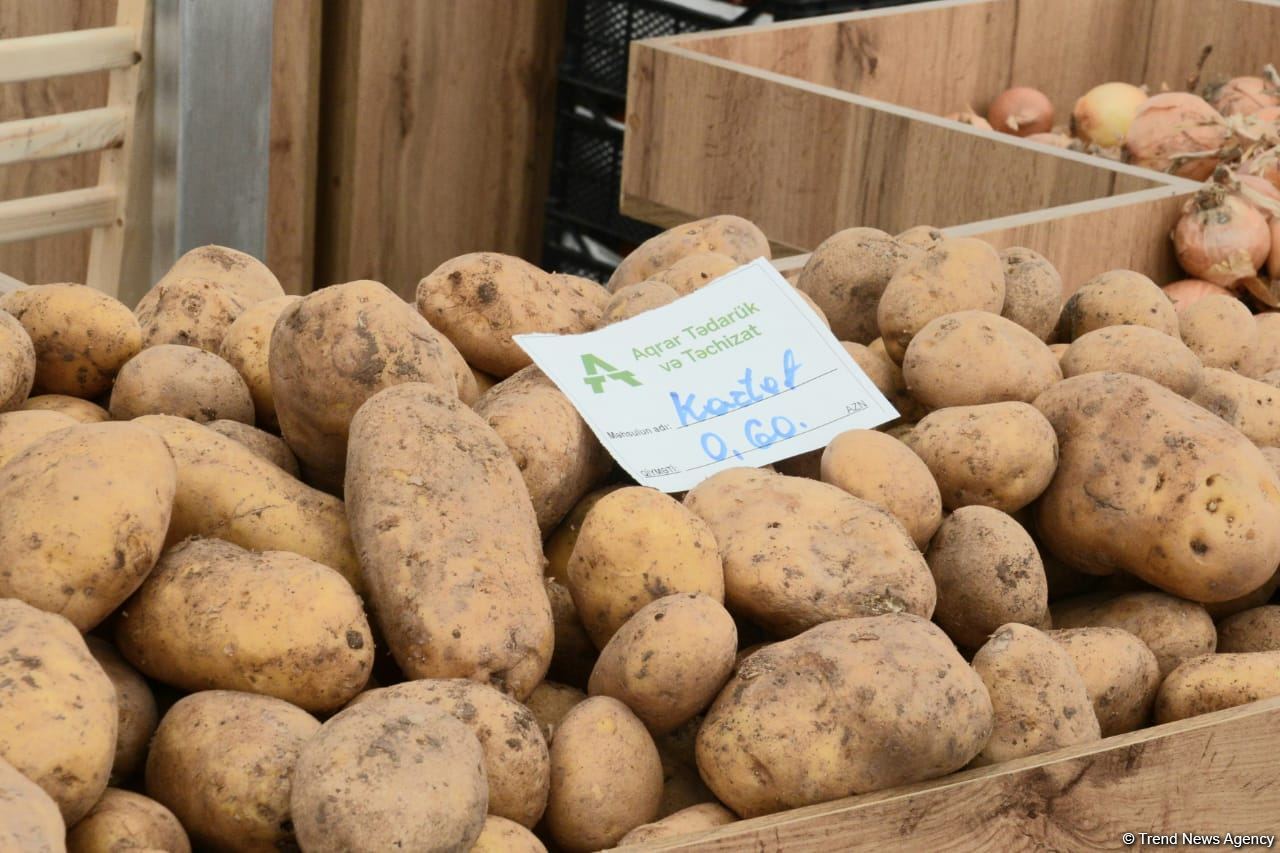 В Баку открылись сельхозярмарки (ФОТО/ВИДЕО)