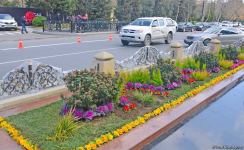 Ведется подготовительная работа в связи с 29-й годовщиной Ходжалинского геноцида - репортаж Trend TV