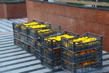 Ведется подготовительная работа в связи с 29-й годовщиной Ходжалинского геноцида - репортаж Trend TV