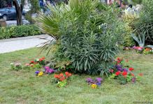 Ведется подготовительная работа в связи с 29-й годовщиной Ходжалинского геноцида - репортаж Trend TV