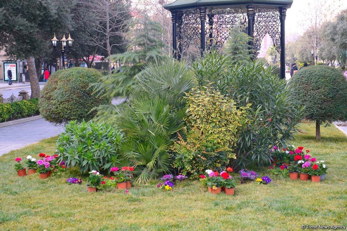 Ведется подготовительная работа в связи с 29-й годовщиной Ходжалинского геноцида - репортаж Trend TV