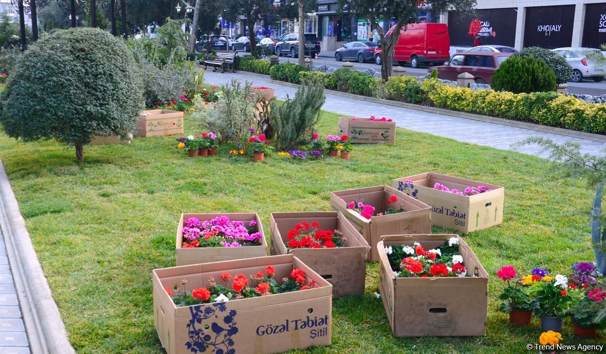 Ведется подготовительная работа в связи с 29-й годовщиной Ходжалинского геноцида - репортаж Trend TV