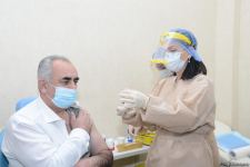 Представители политпартий Азербайджана проходят вакцинацию (ФОТО/ВИДЕО)