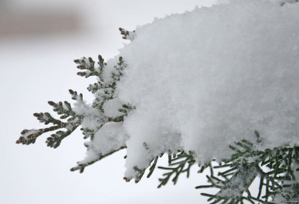 В Азербайджане наступила зима