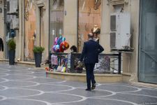 Баку отмечает Международный женский день - 8 Марта (ФОТОРЕПОРТАЖ)