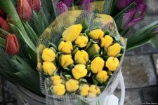 Баку отмечает Международный женский день - 8 Марта (ФОТОРЕПОРТАЖ)