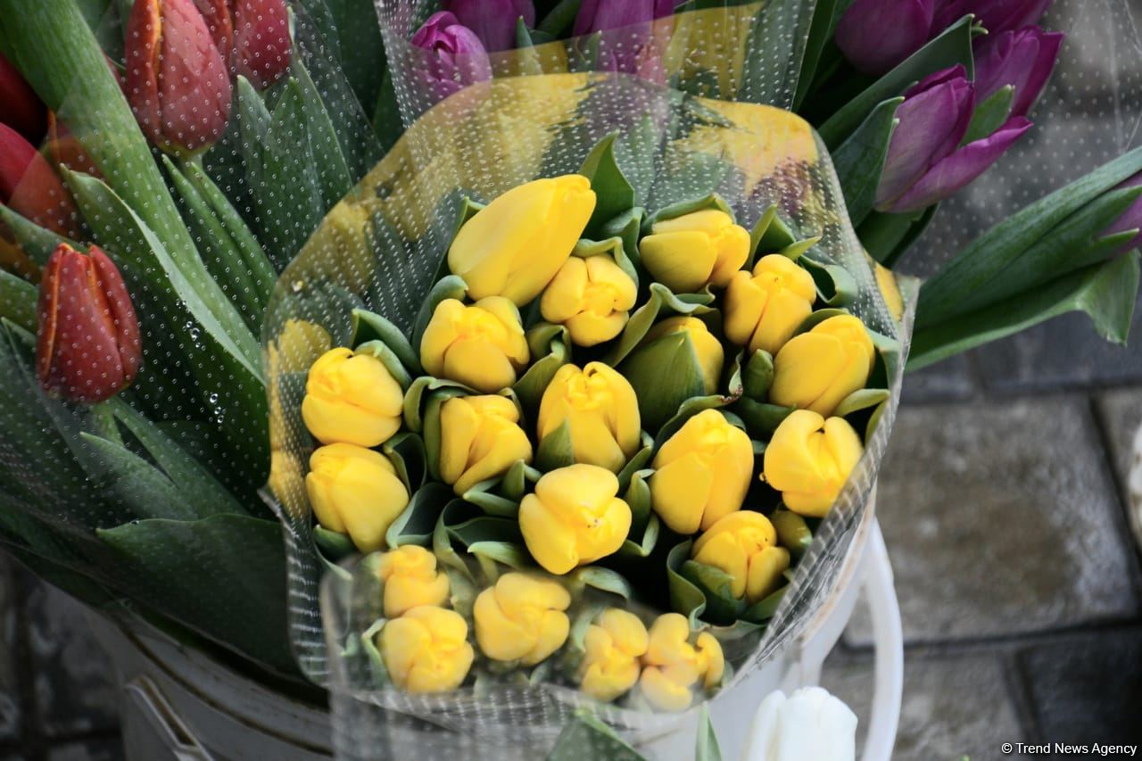Баку отмечает Международный женский день - 8 Марта (ФОТОРЕПОРТАЖ)