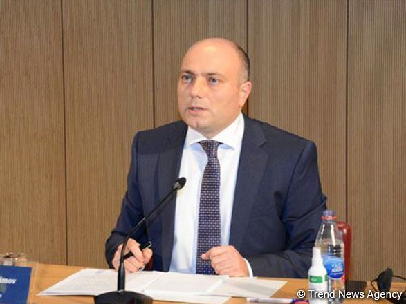 Разрабатывается план действий в рамках инициативы "Мир во имя культуры" -  Анар Керимов