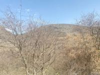 Кадры из Азыхской пещеры — репортаж Trend TV