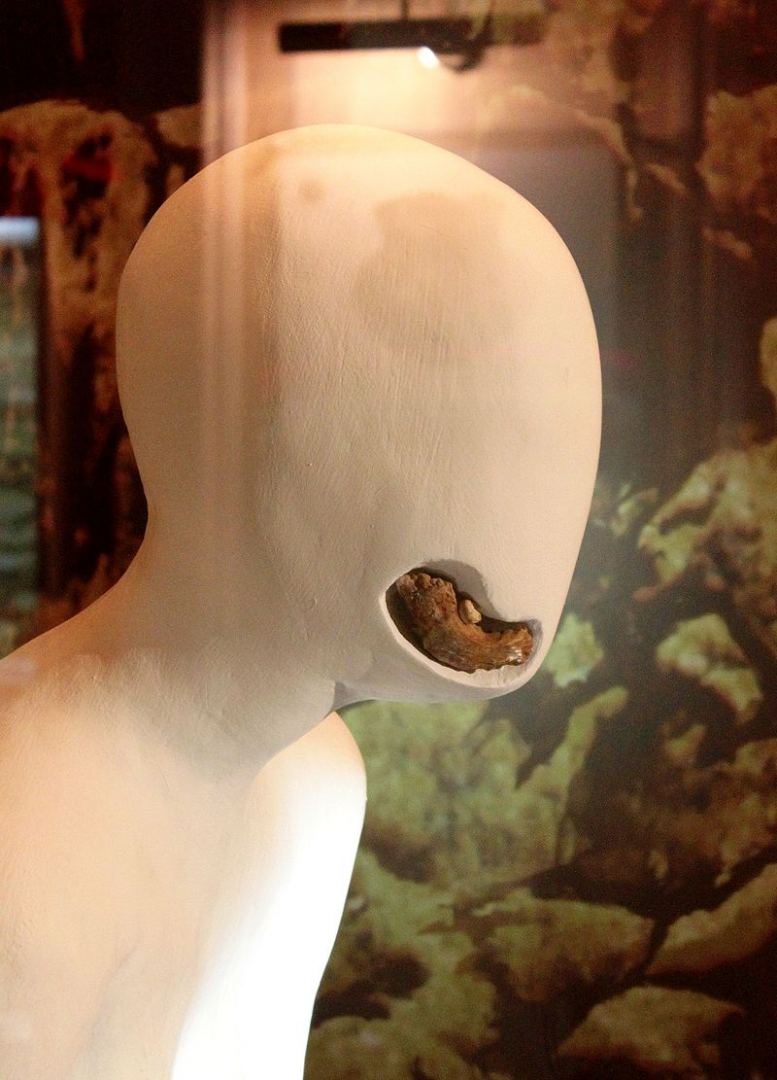 Интересные факты из истории Азыхской пещеры - древнейшее поселение человека на Кавказе (ВИДЕО, ФОТО)