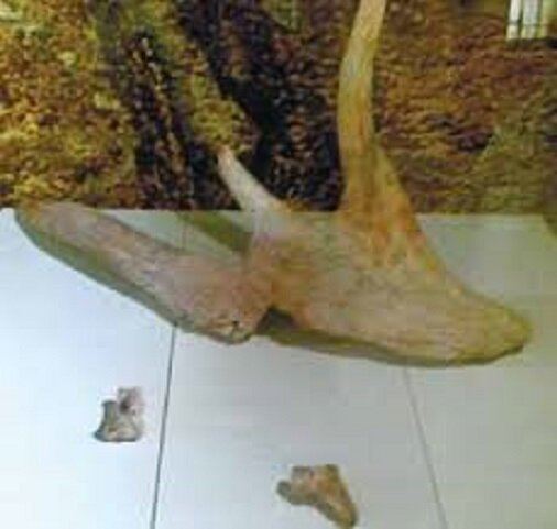 Интересные факты из истории Азыхской пещеры - древнейшее поселение человека на Кавказе (ВИДЕО, ФОТО)