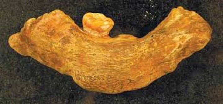 Интересные факты из истории Азыхской пещеры - древнейшее поселение человека на Кавказе (ВИДЕО, ФОТО)