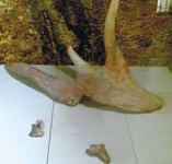 Интересные факты из истории Азыхской пещеры - древнейшее поселение человека на Кавказе (ВИДЕО, ФОТО)