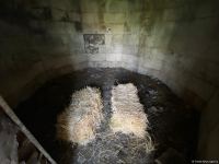 Представители ОИС посетили кладбище Имарета в Агдаме (ФОТО/ВИДЕО)