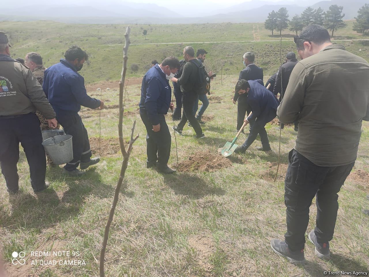 На территориях в Зангилане, где сегодня высаживаются деревья, раньше росли густые леса - замминистра (ФОТО)