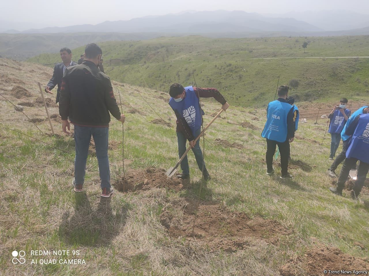 На территориях в Зангилане, где сегодня высаживаются деревья, раньше росли густые леса - замминистра (ФОТО)
