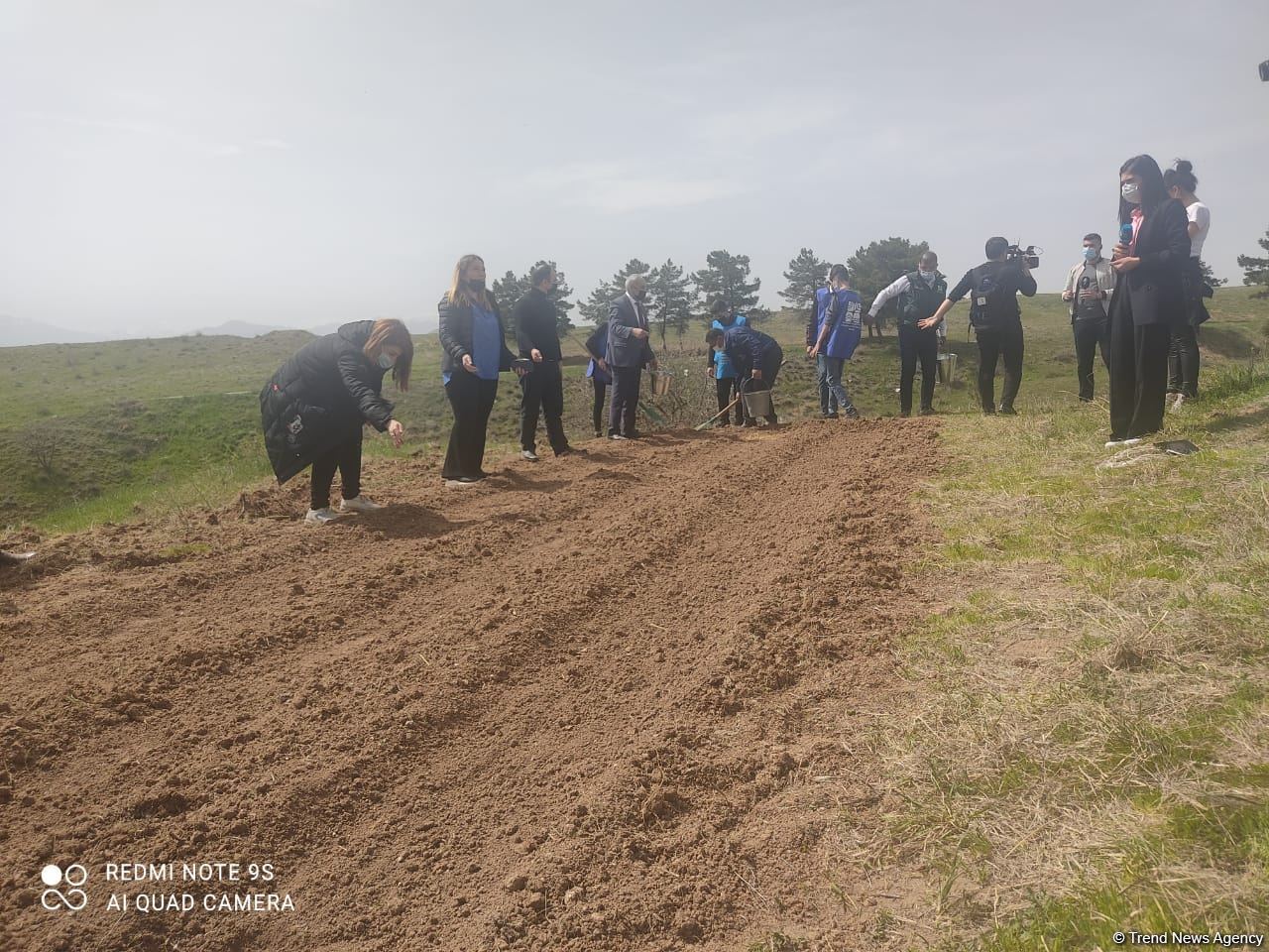 На территориях в Зангилане, где сегодня высаживаются деревья, раньше росли густые леса - замминистра (ФОТО)