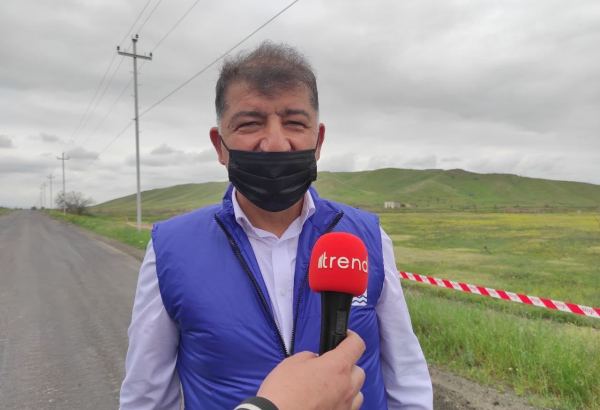 В Азербайджане установят точную площадь уничтоженных армянами во время оккупации лесов - минэкологии