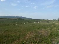 Завершилась поездка израильских журналистов в Агдам (ФОТО)