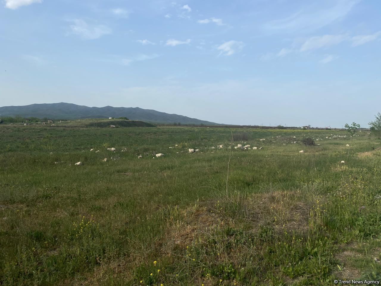 Завершилась поездка израильских журналистов в Агдам (ФОТО)